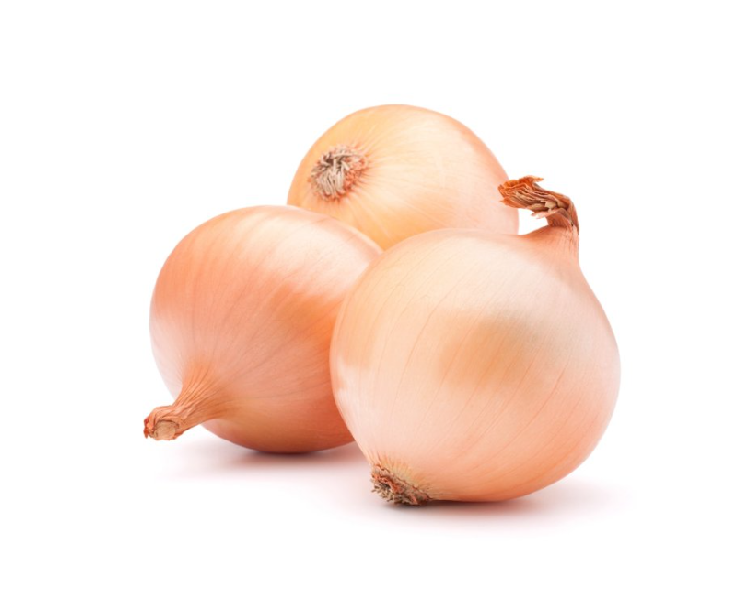 CEBOLLA