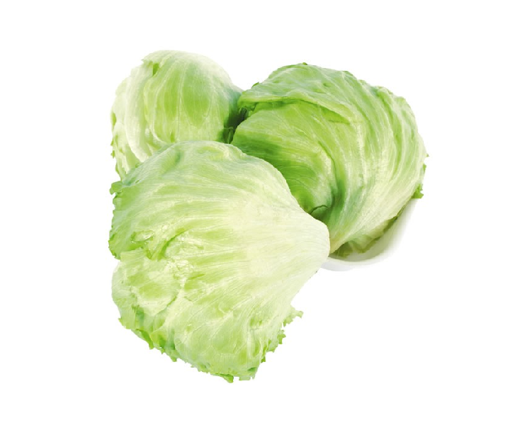 LECHUGA REPOLLADA