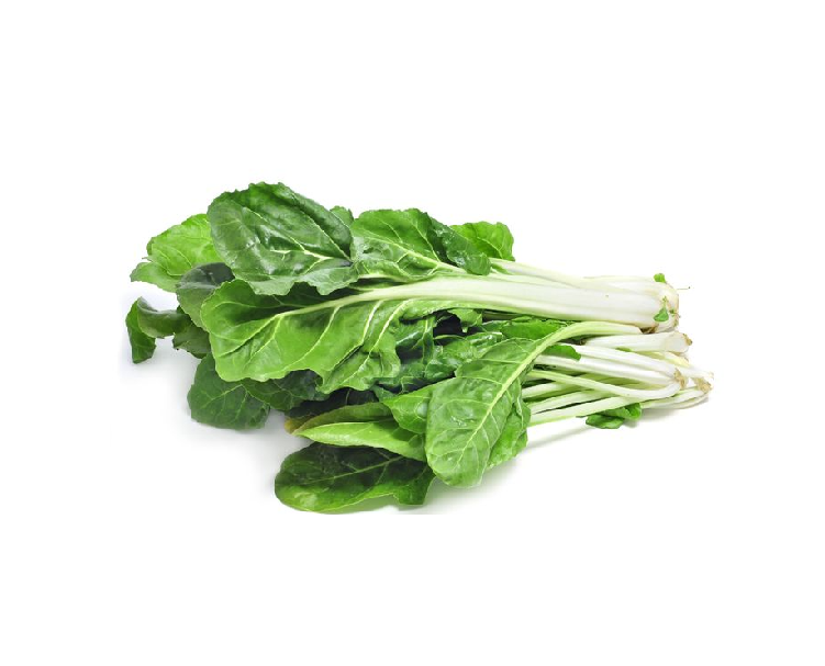 ACELGA